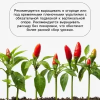 Семена Перец &laquo;Подарок лета&raquo;, 0.15 г, &laquo;Агросс&raquo;