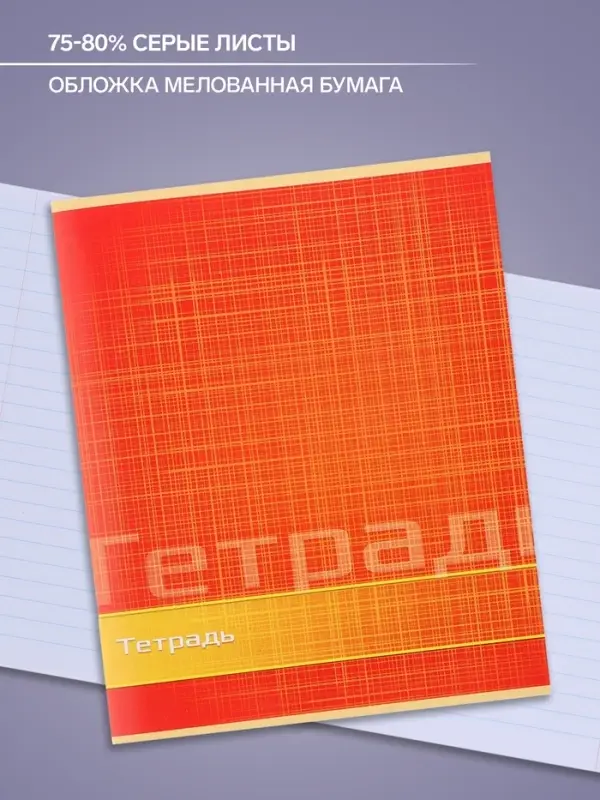 Тетрадь 48 листов в линейку Calligrata «Цвет и графика», обложка мелованная бумага, блок №2, белизна 75% (серые листы), МИКС