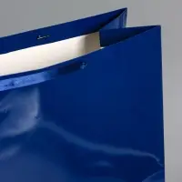 Пакет ламинированный горизонтальный "Синий", XXL 61 х 46 х 20 см Пакет ламинированный горизонтальный "Синий", XXL 61 х 46 х 20 см