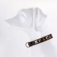 Ошейник однослойный "Красавчик", 2.5 см, тиснение фольгой, микс цветов Ошейник однослойный "Красавчик", 2.5 см, тиснение фольгой, микс цветов