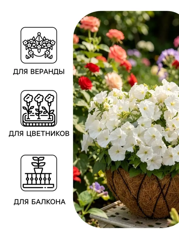 Семена цветов Петуния &laquo;Минифлора Горшечная&raquo; F1, белая, драже, 5 шт.