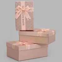 Набор подарочных коробок 3 в 1, прямоугольные 23&times;16&times;9.5 21&times;14&times;8.0 19&times;12&times;6.5 см