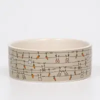 Миска &laquo;Кроличьи игрушки&raquo;, 300 мл, 11.5&times;5 см, керамика, бело-серая