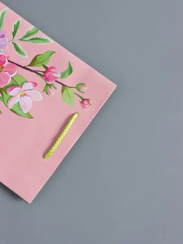 Пакет подарочный "Нежный комплимент" ламинированный 18 х 22,3 х 10 см