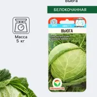 Семена Капусты белокочанной &laquo;Вьюга&raquo;, 0.3 г, &laquo;Сибирский сад&raquo;