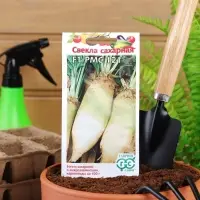 Семена Свекла "Сахарная", ц/п, F1, 3 г Семена Свекла "Сахарная", ц/п, F1, 3 г