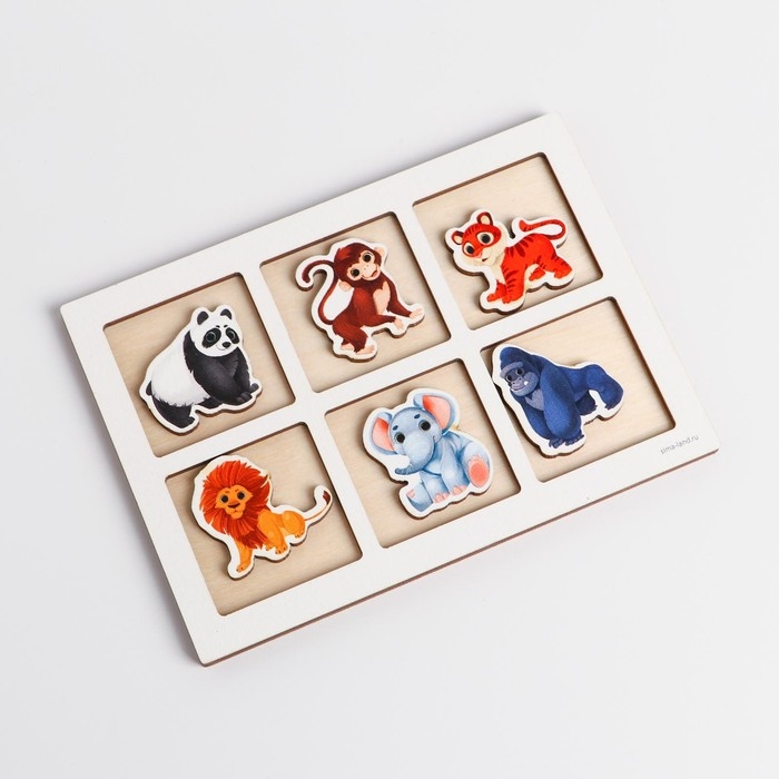 Тренажёр памяти «Джунгли» Тренажёр памяти «Джунгли»