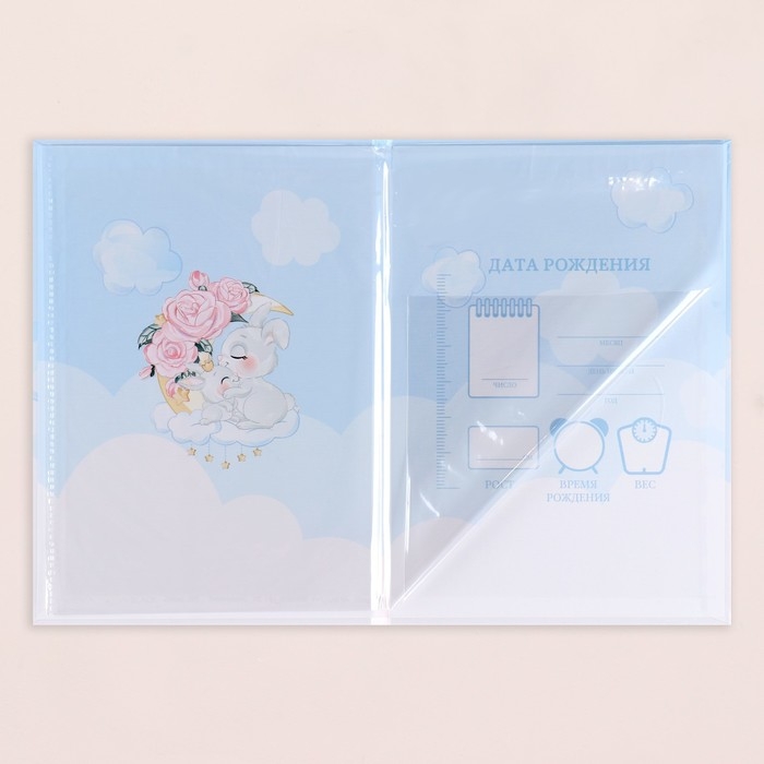 Папка под свидетельство о рождении «Жирафики», А5 Папка под свидетельство о рождении «Жирафики», А5