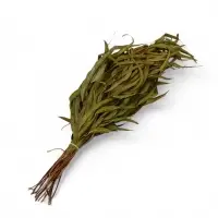 Веник для бани, эвкалиптовый, в еврослоте, &laquo;Добропаровъ&raquo;