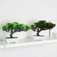 Бонсай в горшке «Хвойное дерево», 10.5×18 см, МИКС Бонсай в горшке «Хвойное дерево», 10.5×18 см, МИКС