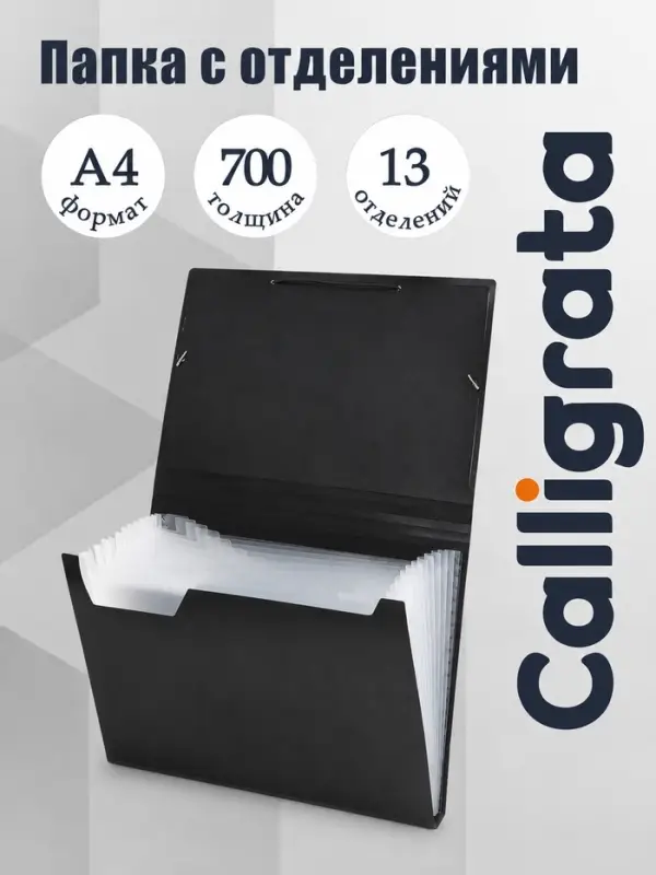 Папка картотека А4, Calligrata, 13 отделений, пластиковая, 700 мкм, чёрная