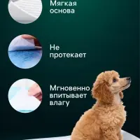 Пелёнки впитывающие &laquo;Мой выбор&raquo;, 60&times;40 см, набор 30 шт., целлюлоза