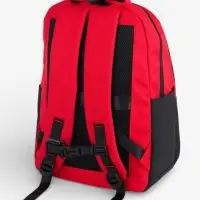 Рюкзак, водонепроницаемое дно, 2 отделения, 3 кармана, 31&times;14.5&times;45 см, красный