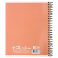 Компл тетр из 3шт 96л кл на гребне Apricot, обл мел карт, блок офсет 10296913