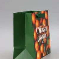 Пакет подарочный &laquo;С Новым годом&raquo;, мандарины, 22&times;22&times;11 см