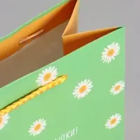 Пакет подарочный "Ромашки - обнимашки" ламинированный 18 х 22,3 х 10 см