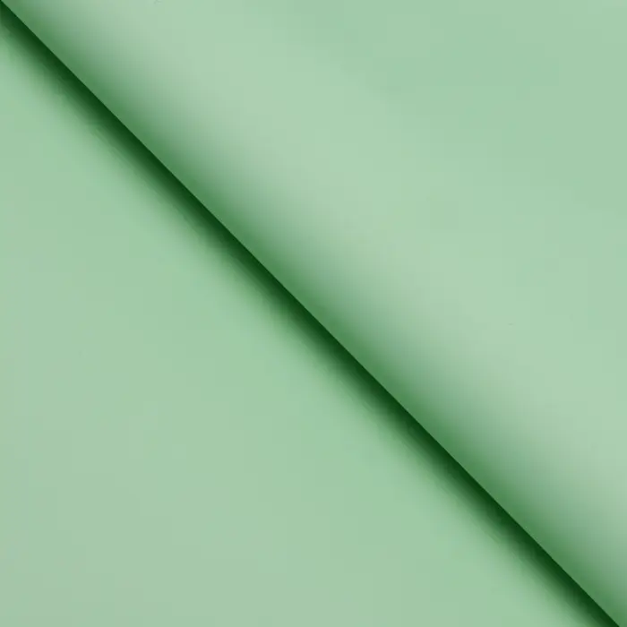 Пленка для цветов тонированная, матовая, светло - зелёная, 57×57 см ±5% см, 65 мкм Пленка для цветов тонированная, матовая, светло - зелёная, 57×57 см ±5% см, 65 мкм