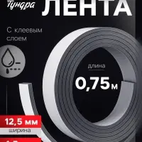 Магнитная лента ТУНДРА, с клеевым слоем, 12.5×1.5 мм, длина 0.75 м