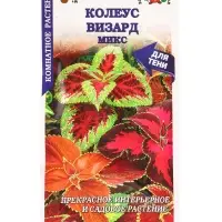 Семена Ком: Колеус Визард Микс /Сотка/ 10шт/ h-35см PanAm/*500 Семена Ком: Колеус Визард Микс /Сотка/ 10шт/ h-35см PanAm/*500