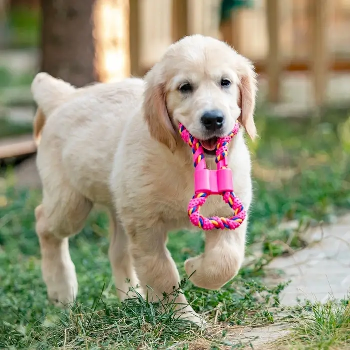 Игрушка витая из резины и каната &laquo;Мегакость&raquo;, 19.5 см, розовая