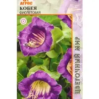 Семена Кобея "Фиолетовая" 5 шт Семена Кобея "Фиолетовая" 5 шт