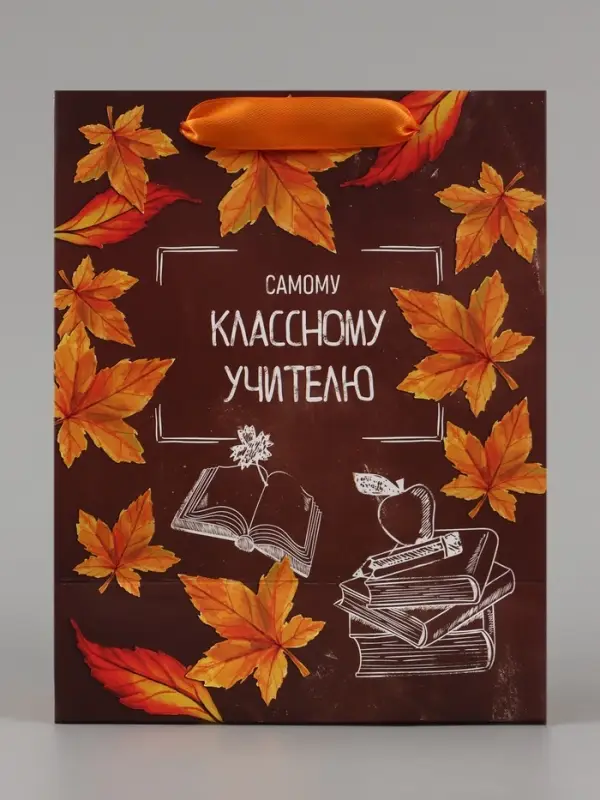 Пакет подарочный ламинированный, упаковка, &laquo;Классному учителю&raquo;, MS 18&times;23&times;10 см