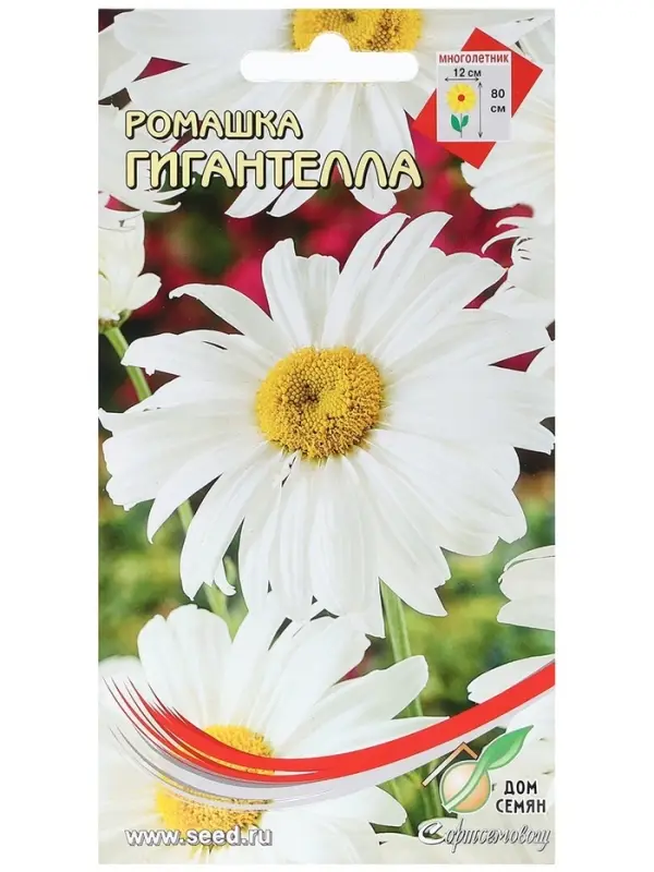 Набор семян Ромашка Набор семян Ромашка "Гигантелла", 5 шт.