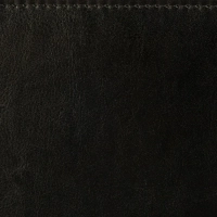 Ежедневник датированный 2026, черн, А5, 148x218 мм, 352 стр,АТТАСНЕ Agenda