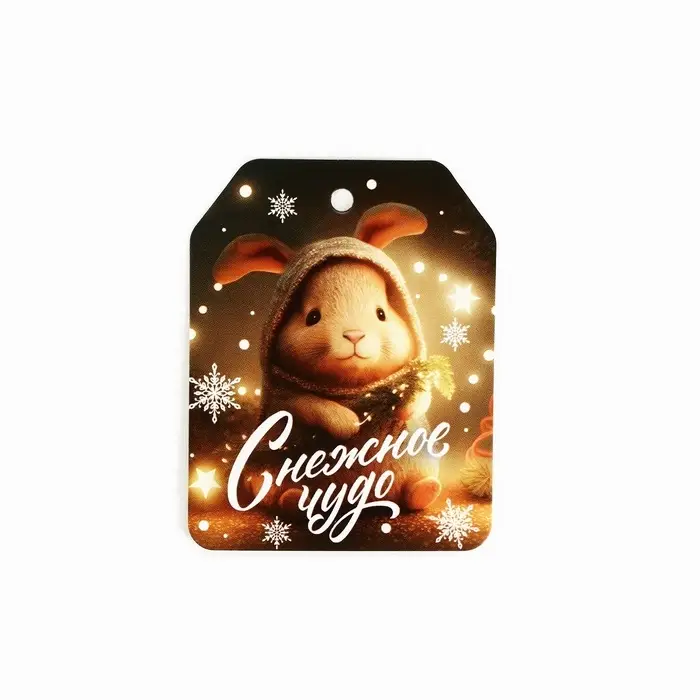 Шильдик на подарок «Чудо обязательно случится!», набор 6 штук, 16×24 см Шильдик на подарок «Чудо обязательно случится!», набор 6 штук, 16×24 см