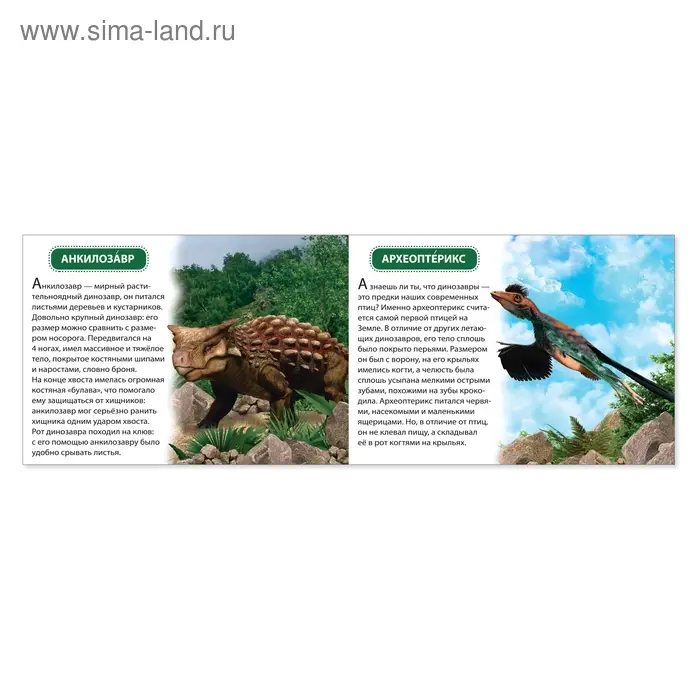 Обучающая книжка «Динозавры», 18 динозавров Обучающая книжка «Динозавры», 18 динозавров