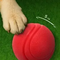Игрушка для собак &laquo;Прыгучий мяч&raquo;, 5 см, цельнолитая, TPR, красная
