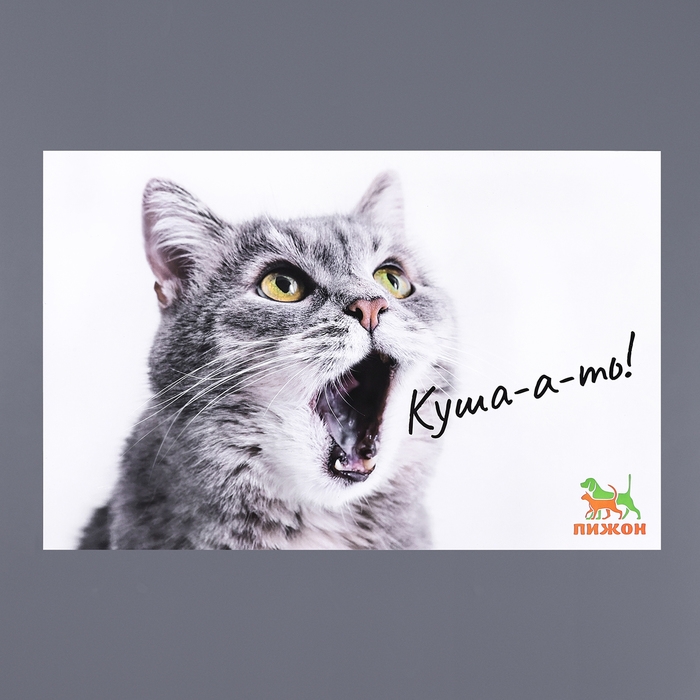 Коврик под миску  Коврик под миску "Пижон" 43 х 28 см "Куша-а-ть!