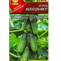 Семена Огурец &laquo;Малосольчик&raquo;, F1, раннеспелый, партенокарпический, 10 шт., &laquo;АЭЛИТА&raquo;