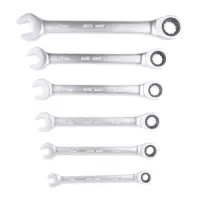 Набор ключей гаечных комбинированных трещоточных в пластике (8-17 мм) (6предметов) AVS K6N6P