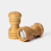 Набор для специй Доляна &laquo;Комфорт&raquo;, 50 мл, 11&times;10&times;5 см, 2 предмета: мельница, солонка