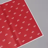 Пленка флористическая для цветов, &laquo;Двойные сердца&raquo;, красная, 57&times;57 см