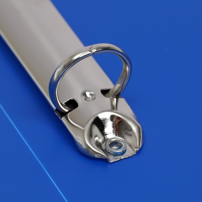 Папка-портфолио А4, Calligrata  Папка-портфолио А4, Calligrata "Лучшие друзья", пластиковая, на 2 кольцах, для дошкольника, без вкладышей