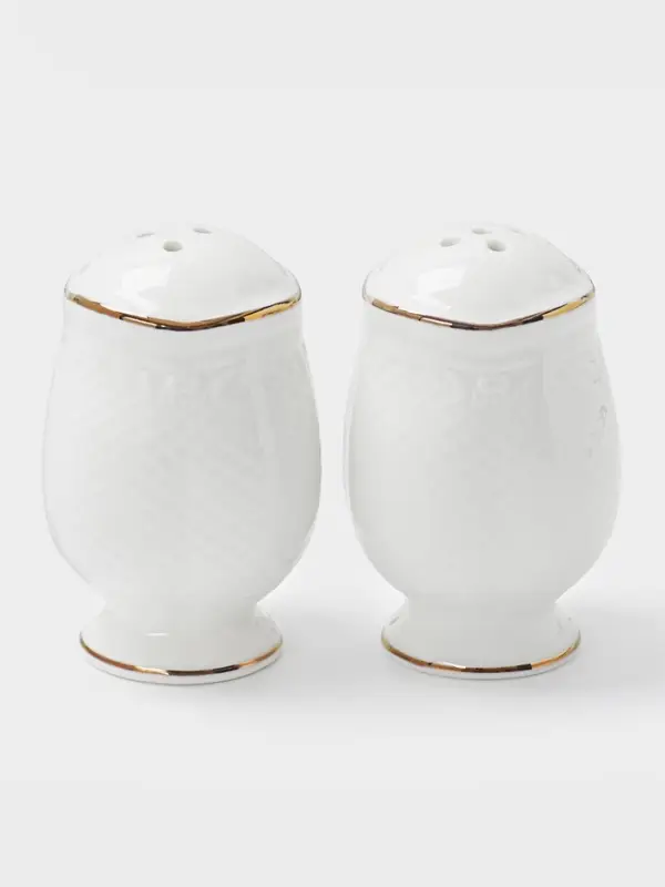 Набор для специй WY Empire, солонка и перечница, 50 мл, фарфор, белый