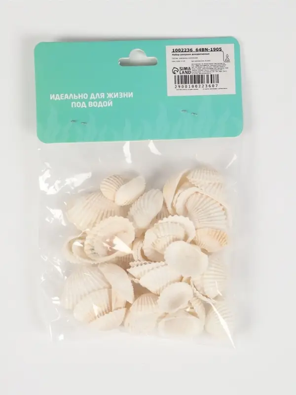 Набор ракушек, 2 - 3.5 см, 100 г