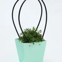 Сумка для цветов тиснение мята влагостойкая, 12&times;12 - 8&times;8 - 12.5 см