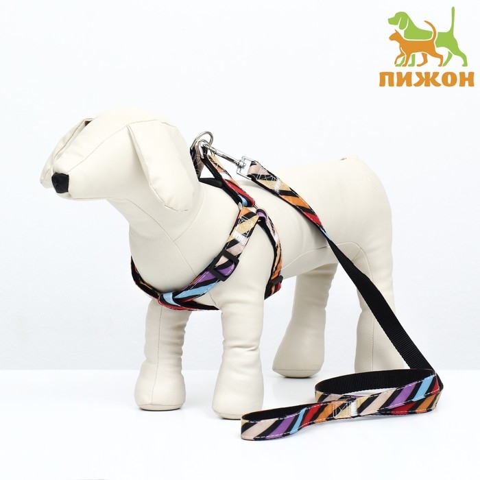 Комплект амуниции двухслойный, размер L, поводок 120 х 2 см, ОШ 31-45 см , ОГ 35-52 см, разноцветный Комплект амуниции двухслойный, размер L, поводок 120 х 2 см, ОШ 31-45 см , ОГ 35-52 см, разноцветный