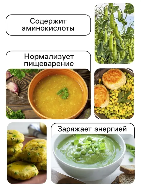 Семена Горох овощной &laquo;Ползунок&raquo;, лущильный, 25 г, &laquo;Аэлита&raquo;