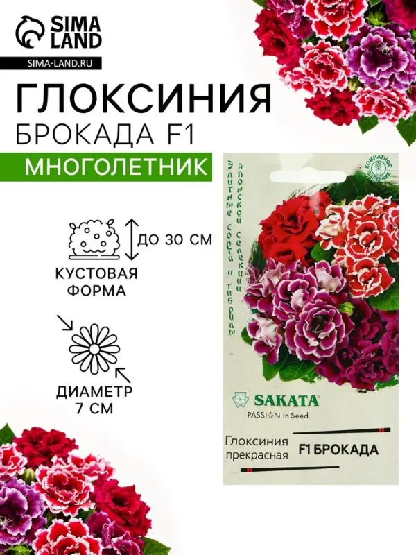 Семена цветов Глоксиния "Брокада", ц/п, F1, гранулы, 4 шт.