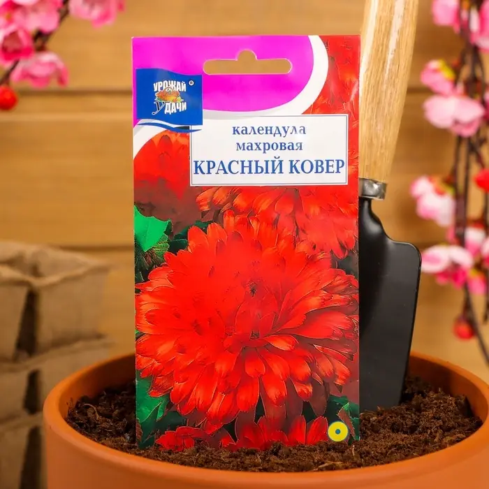 Семена цветов Календула махровая «Красный ковёр», 0.3 г, «Урожай удачи» Семена цветов Календула махровая «Красный ковёр», 0.3 г, «Урожай удачи»