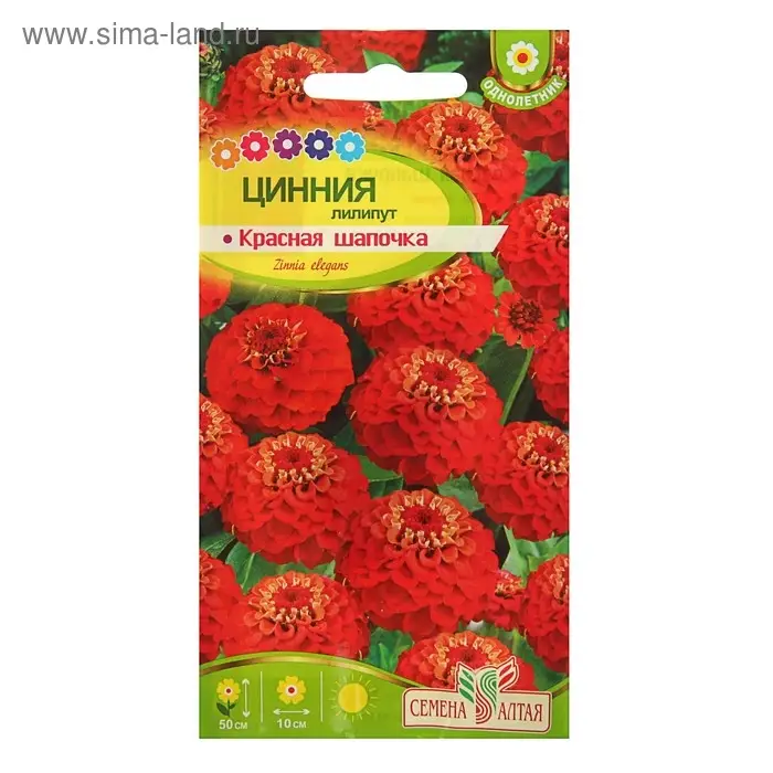 Семена цветов Цинния лилипут "Красная Шапочка", ц/п,  О, 0,3 г.