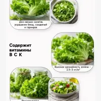 Семена Салат листовой &laquo;Весёлая грядка&raquo;, смесь, 0.5 г, &laquo;Аэлита&raquo;