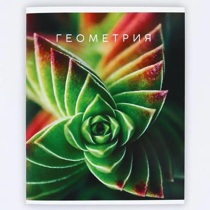 Тетрадь в клетку, предметная, 48 л.,на скрепке, А5 &laquo;ПРИРОДА. Геометрия&raquo;