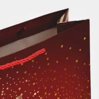 Пакет &laquo;Золотая снежинка&raquo;, 31 х 40 х 11 см