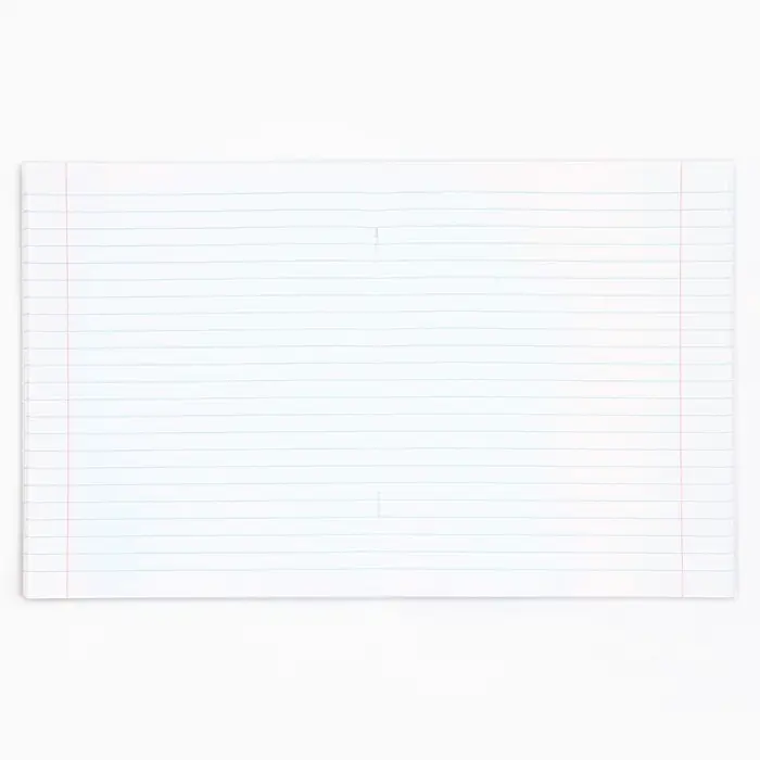 Тетрадь в линейку, предметная, 48 л.,на скрепке, А5 &laquo;Аниме Комикс. Русский язык&raquo;