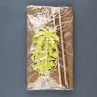 Топпер для торта «С Днём Рождения», динозавры, ассорти, набор, 5 шт.